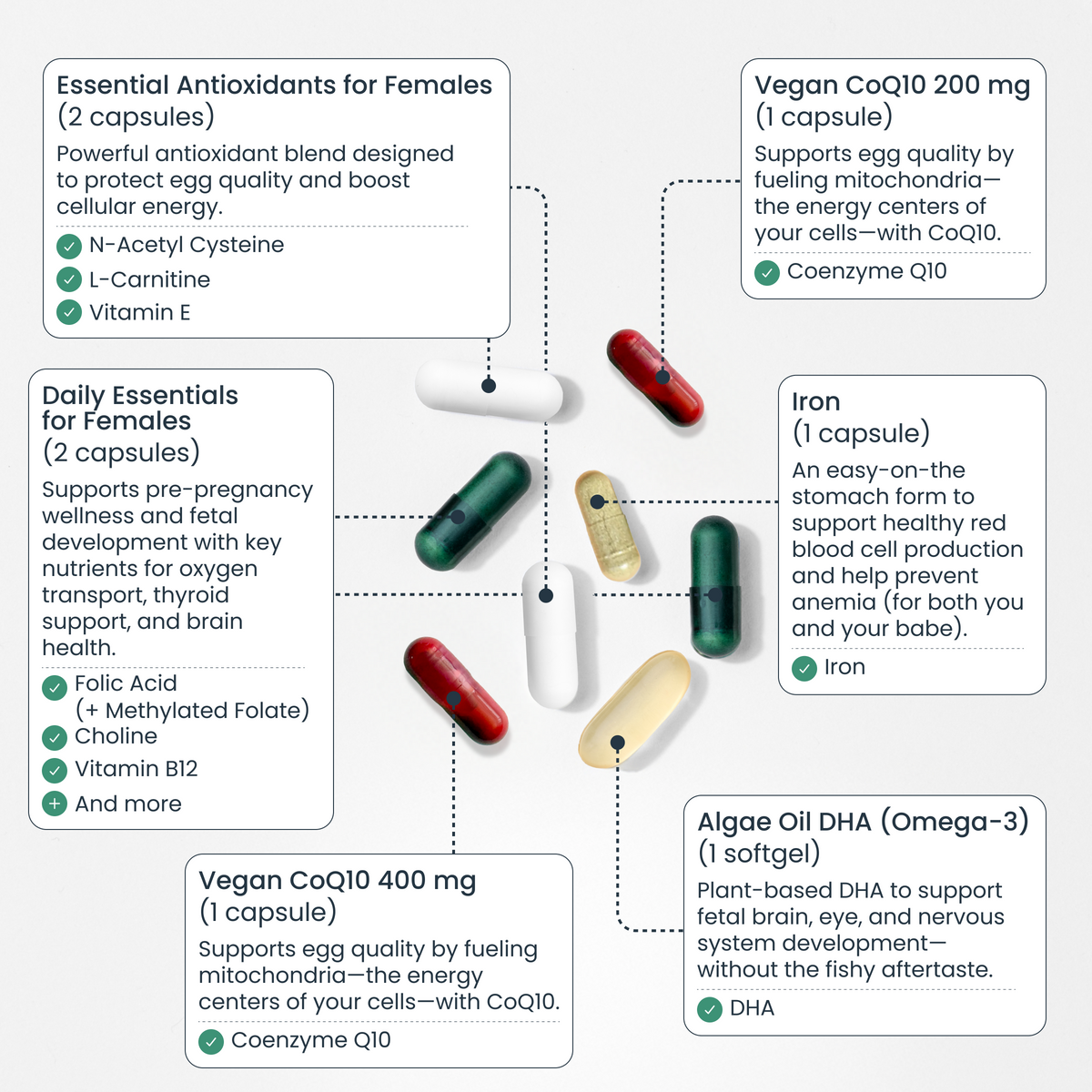 Ingredient map for Bird&Be daily essentials, iron, DHA, antioxidants and CoQ10
